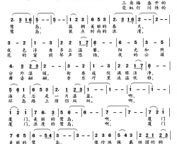 鹭岛圆舞曲简谱