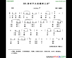 身材不大的模样儿好简谱