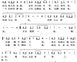 不圆的月亮简谱-小客词/张文曲