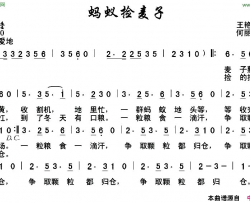蚂蚁捡麦子王艳萍词何丽华曲简谱