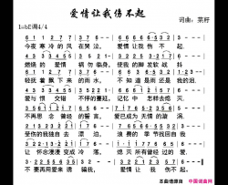 爱情让我伤不起简谱