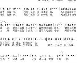 薰衣草的故事简谱-陈波词/邓曙曲