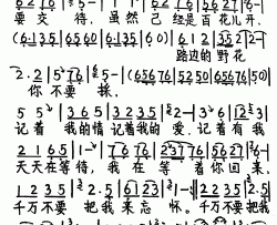 路边的野花不要採简谱