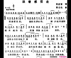 苏芮演唱金曲：跟着感觉走简谱-苏芮演唱-陈家丽/陈志远词曲