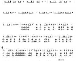 美丽鹤地简谱-王强进词/王文曲