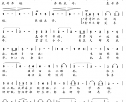表哥养鹅《蓓蕾情音》组歌之八简谱