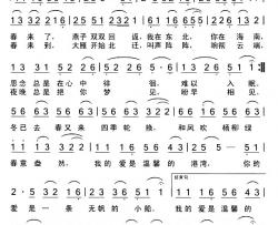 小船与港湾简谱