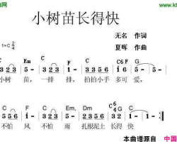 小树苗，长得快简谱
