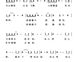 孤独鸟简谱