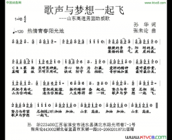 歌声与梦想一起飞简谱