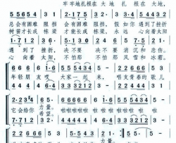 青春的歌儿简谱