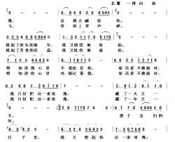 一束玫瑰简谱-翁济农词 杨春先曲