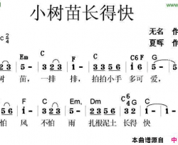 小树苗长得快简谱