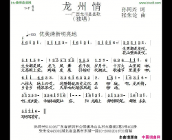 龙州情简谱