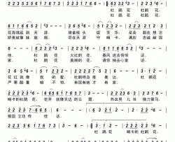 哨卡的杜鹃花简谱-枫桥演唱-汪艳、兰宝声乐/枫桥词曲