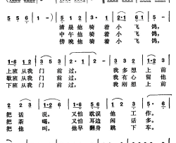 小飞鸽简谱