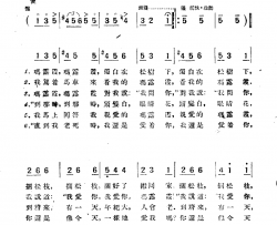 在松树下简谱