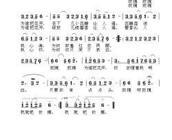 玫瑰为谁开简谱-邵龙权演唱-曹毅/浅洋词曲