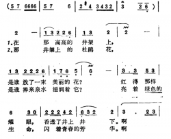 井架上的杜鹃花简谱