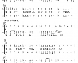 葡萄园夜曲孟昭辉制谱版简谱