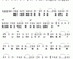 为什么这样欢乐简谱-丁小琦词/刘诗召曲苏小明-