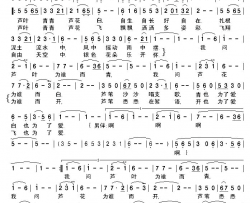 芦叶青青芦花白简谱