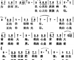 我的心房为你而开简谱