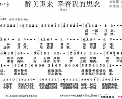 醉美惠来牵着我的思念简谱