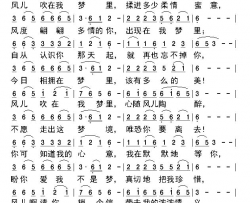 风儿吹在我梦里简谱