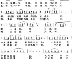 大槐树简谱-李京利词 侯玉峰曲