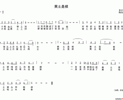黄土是根简谱