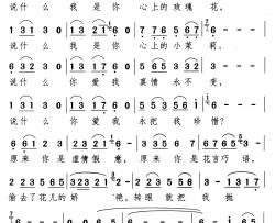 偷花的骗子简谱-颂今词/佚名曲