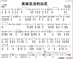 美丽圣洁的白花简谱