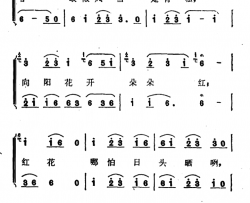 向阳花开朵朵红简谱