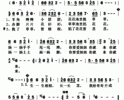 红花花简谱