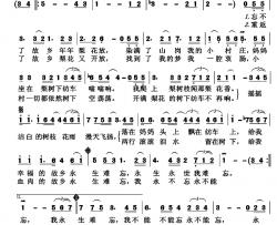 梨花又开放简谱-丁小齐填词 [日]因幡晃曲周峰-