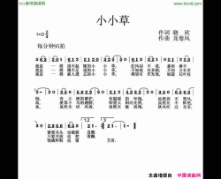 小小草晓欣词龙卷风曲简谱