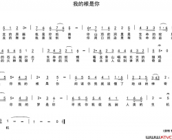 我的根是你简谱