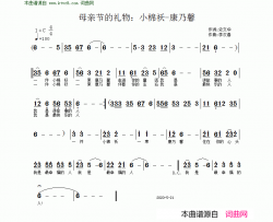 一束康乃馨献给母亲节的歌简谱