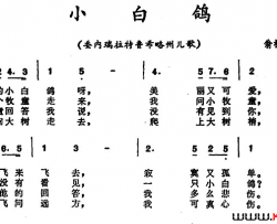 小白鸽 委内瑞拉拉特鲁希略州儿歌简谱