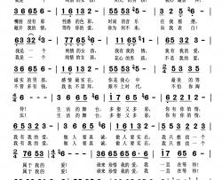 谁来珍惜我的爱简谱-Q月若男演唱
