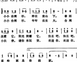 我种一棵台湾杉简谱