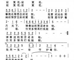 寂寞花简谱-王美—/紫风玲演唱
