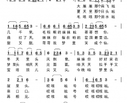 毛眼眼妹妹哥想你简谱