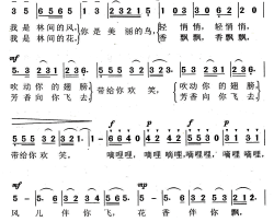 美丽的小鸟简谱