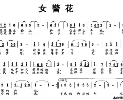 女警花简谱