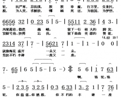 啊，骆驼简谱