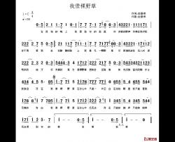 我像棵野草简谱-赵春伟词/赵春伟曲