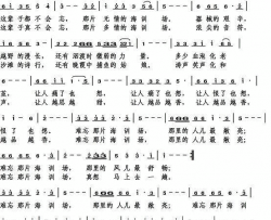 难忘那片海训场简谱