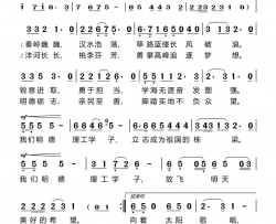 向着未来飞翔简谱